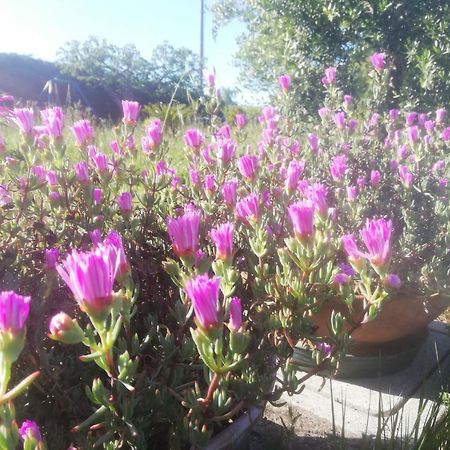Appartamento La Quercia Ortona Esterno foto