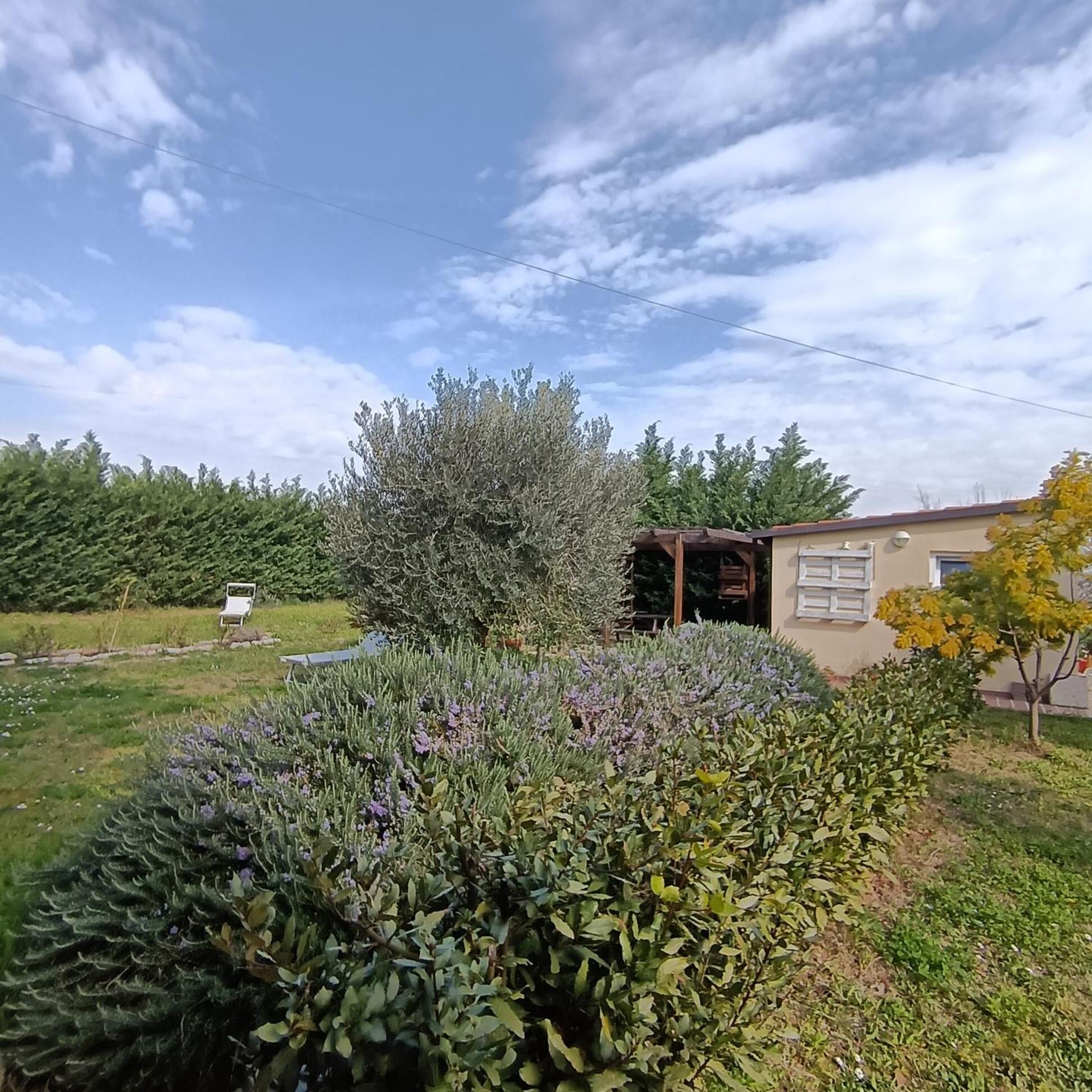 Appartamento La Quercia Ortona Esterno foto