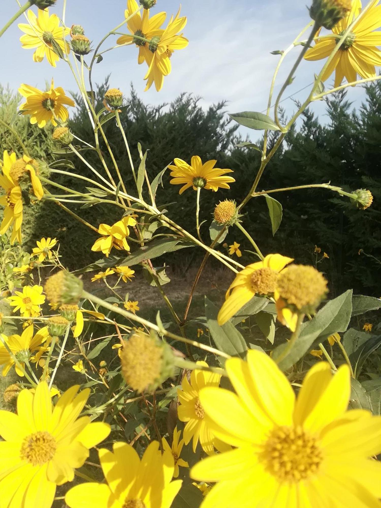 Appartamento La Quercia Ortona Esterno foto