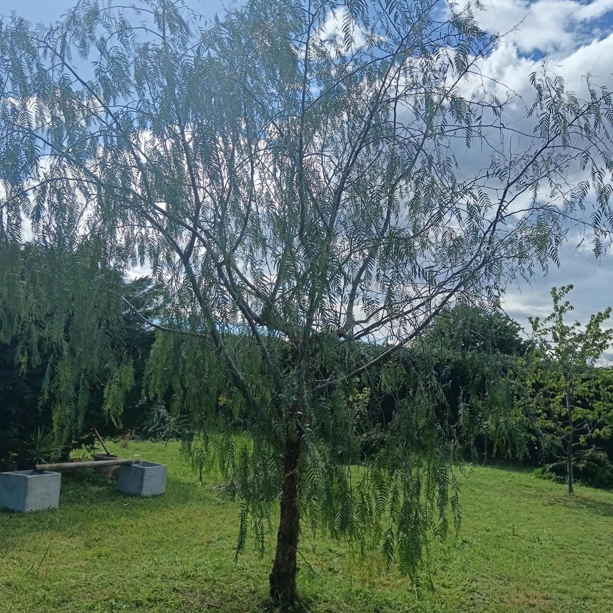 Appartamento La Quercia Ortona Esterno foto