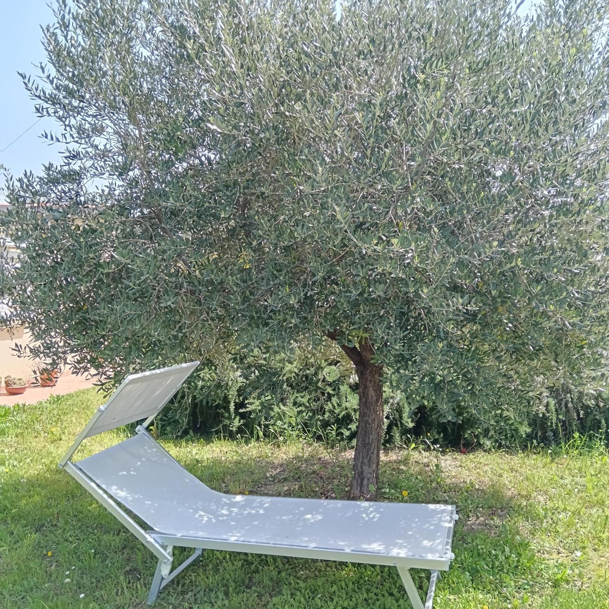 Appartamento La Quercia Ortona Esterno foto